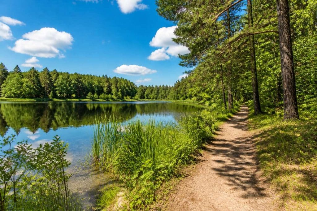 Parc national de Drawno : guide pour découvrir la nature polonaise