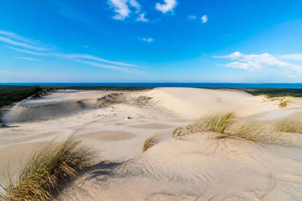 Balade au cœur des dunes mouvantes du parc national de Słowiński