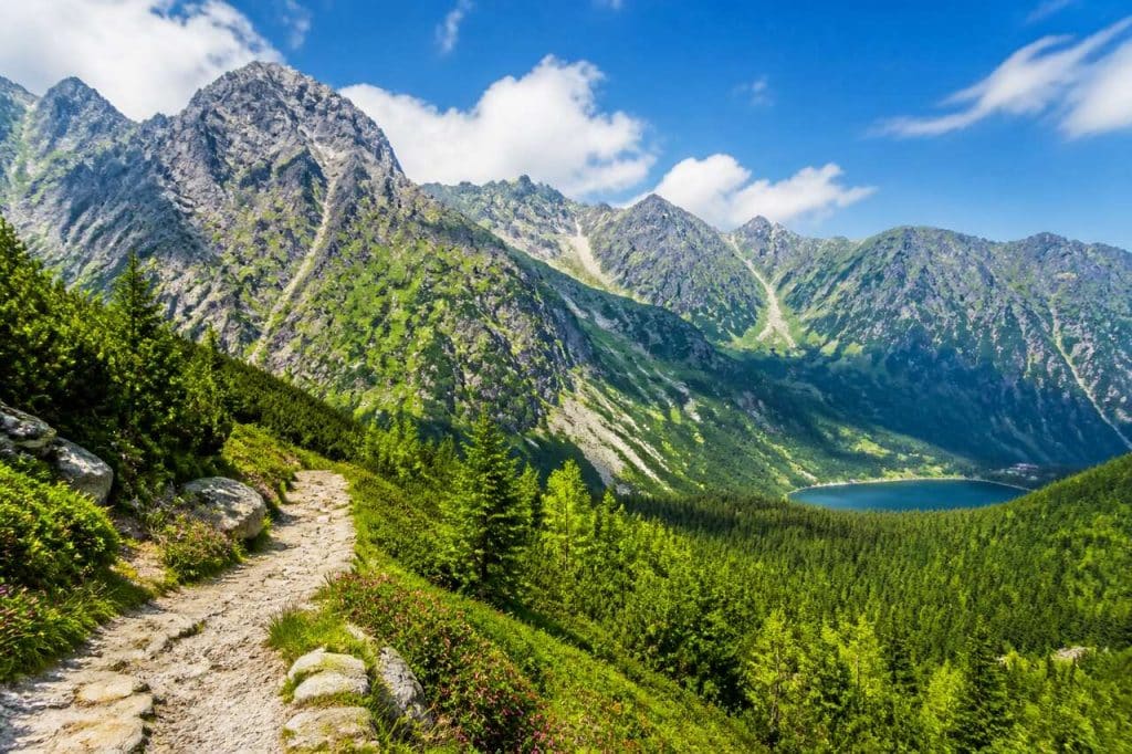 Le sentier de l'aventure en Pologne : itinéraires et découvertes