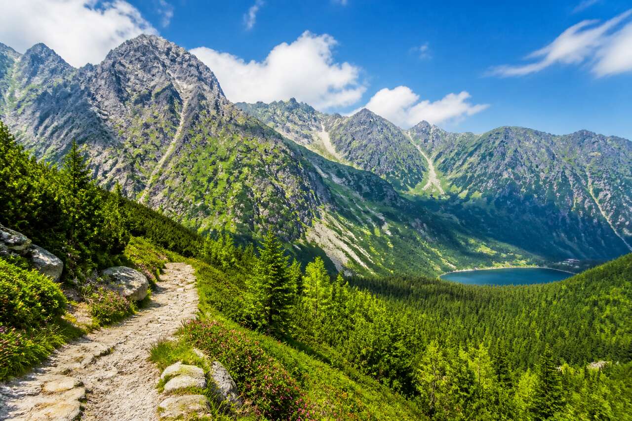 Le sentier de l'aventure en Pologne : itinéraires et découvertes