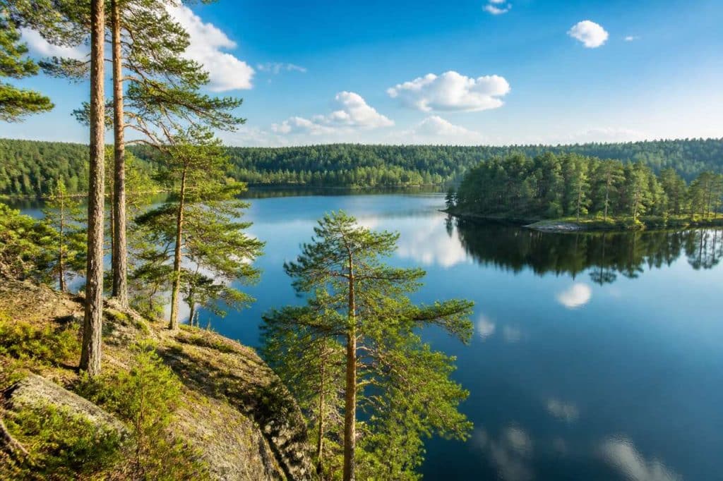Randonnée et sérénité : à la découverte des secrets cachés du parc national de Bory Tucholskie