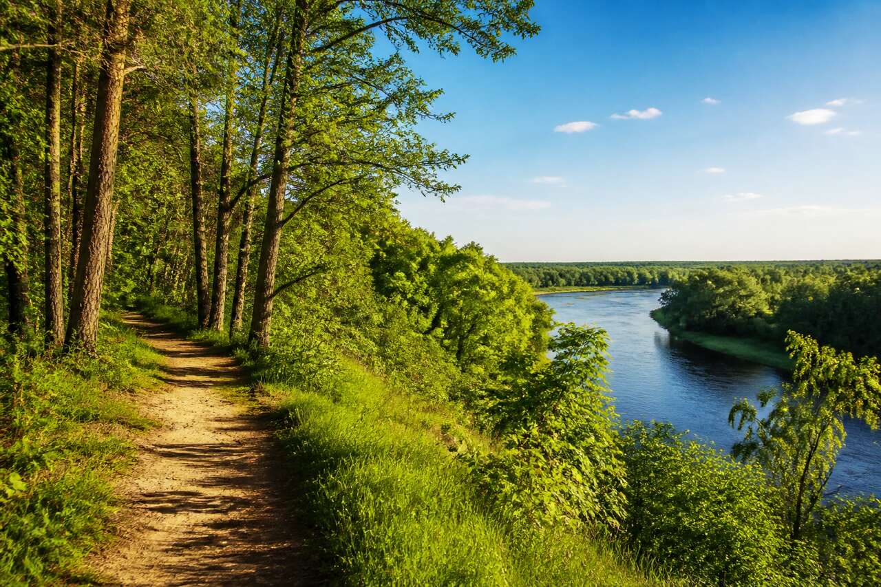 Randonnée éco-responsable à travers les sentiers secrets du parc de Kampinos
