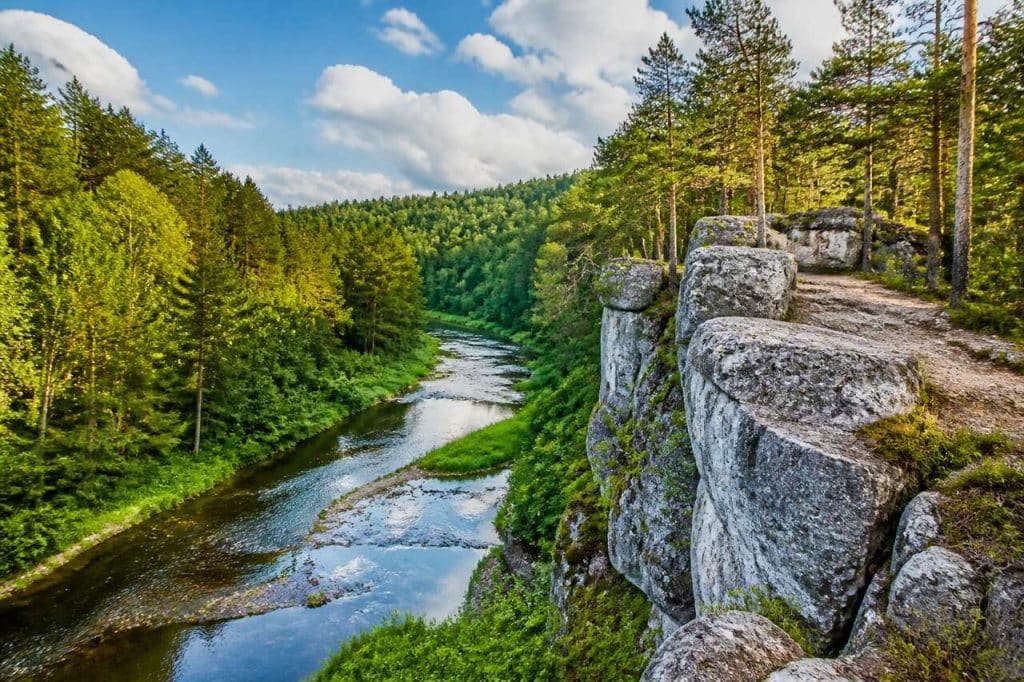 Randonnées enchantées dans la forêt de Roztocze