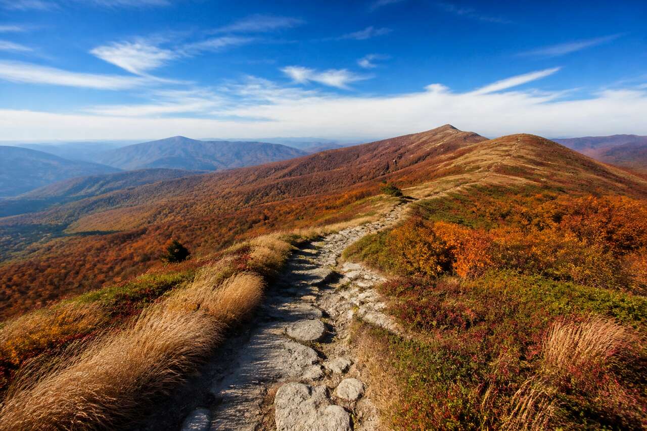 Sentiers des Bieszczady pour des randonnées d'automne
